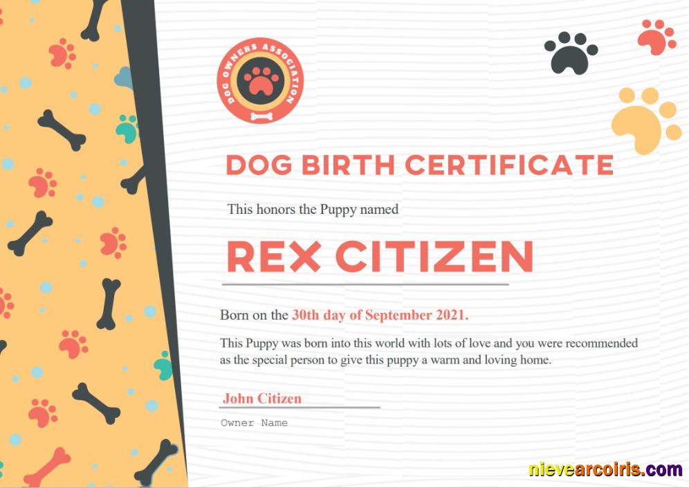 USA Dog Birth certificate